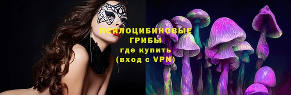 твердый Алексин