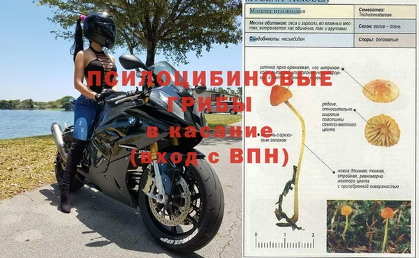 индика Алексеевка