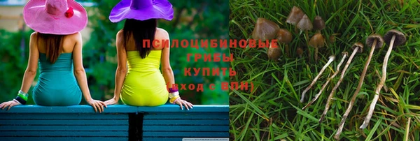 индика Алексеевка