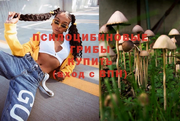 индика Алексеевка